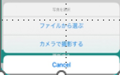 撮影画面の例