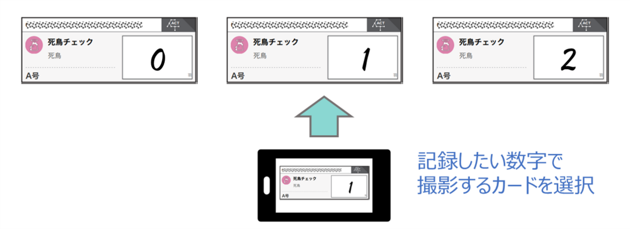 印刷されたカードの例
